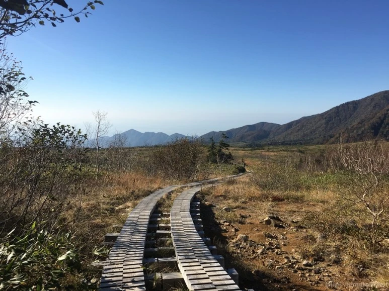 2016-10-15_at_14.43.10.jpg?type=w773