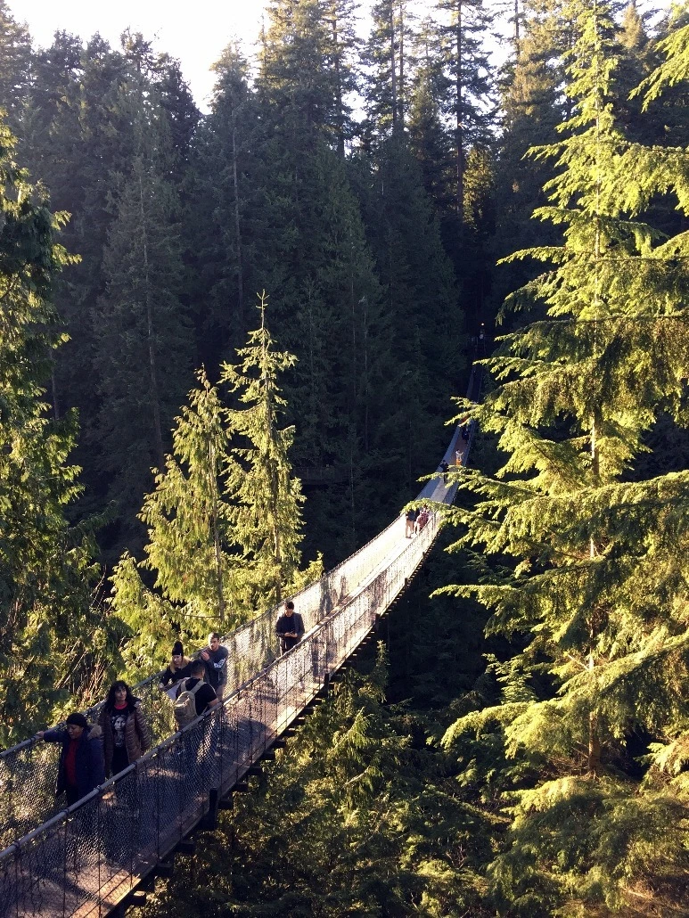 image_4468117641469348818420.jpg?type=w773