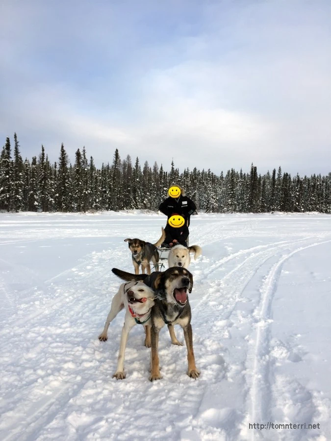 2016-02-07_at_06.00.49.jpg?type=w773