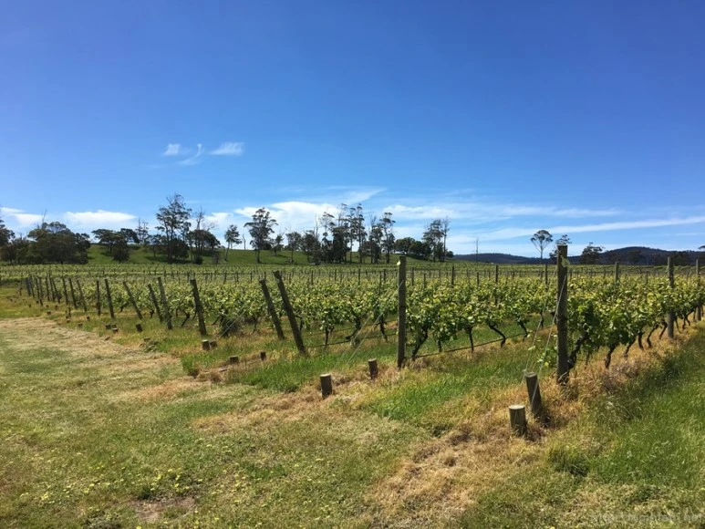 2016-11-20_at_12.36.09.jpg?type=w773