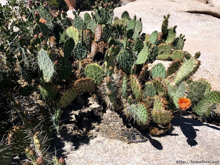 2017-05-05_at_05.51.50.jpg?type=w773