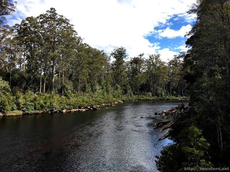 2016-11-24_at_13.43.06.jpg?type=w773