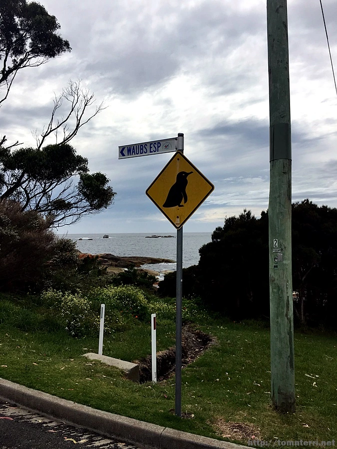 2016-11-22_at_08.15.16.jpg?type=w773