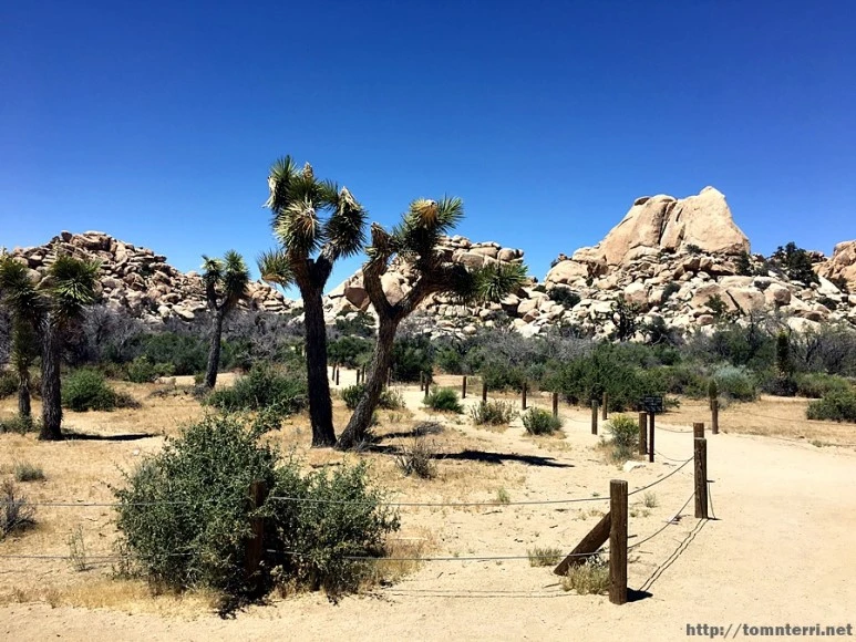 2017-05-05_at_05.35.37.jpg?type=w773