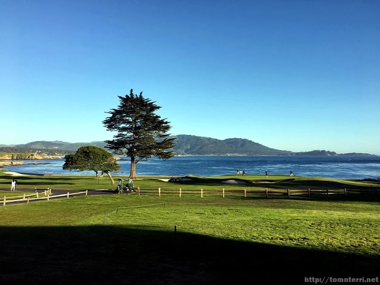 2017-05-02_at_10.45.17.jpg?type=w773