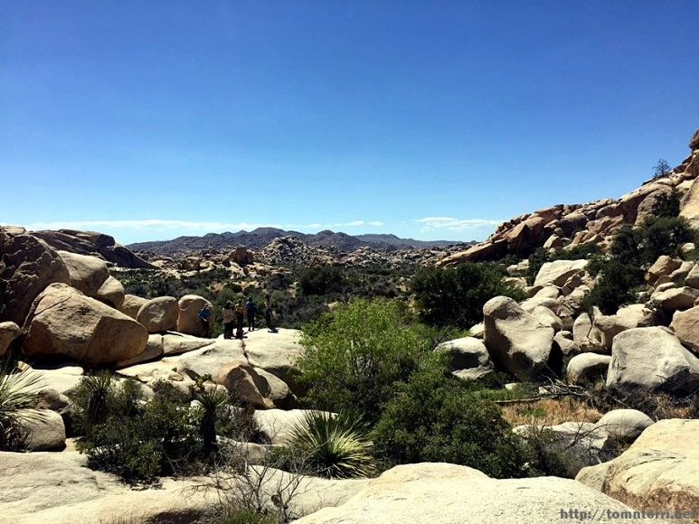 2017-05-05_at_05.57.30.jpg?type=w773