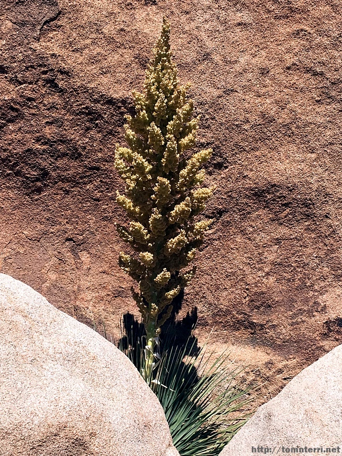 2017-05-05_at_06.22.43.jpg?type=w773