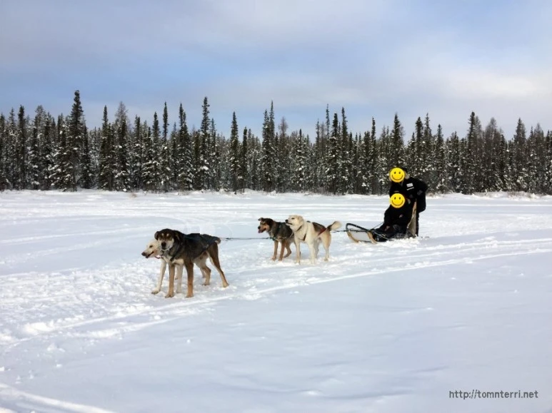 2016-02-07_at_06.00.59.jpg?type=w773