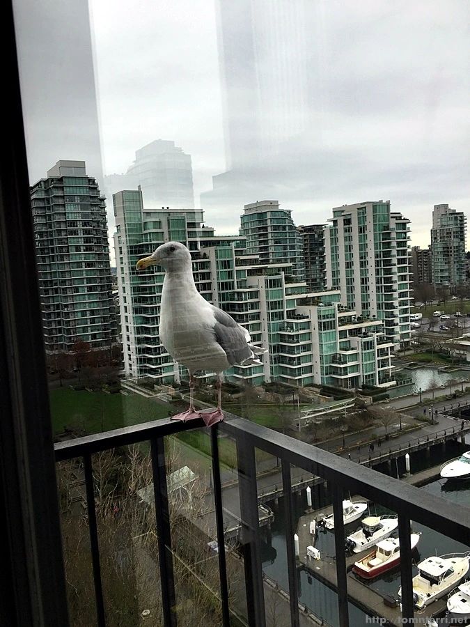 2016-02-08_at_04.20.36.jpg?type=w773