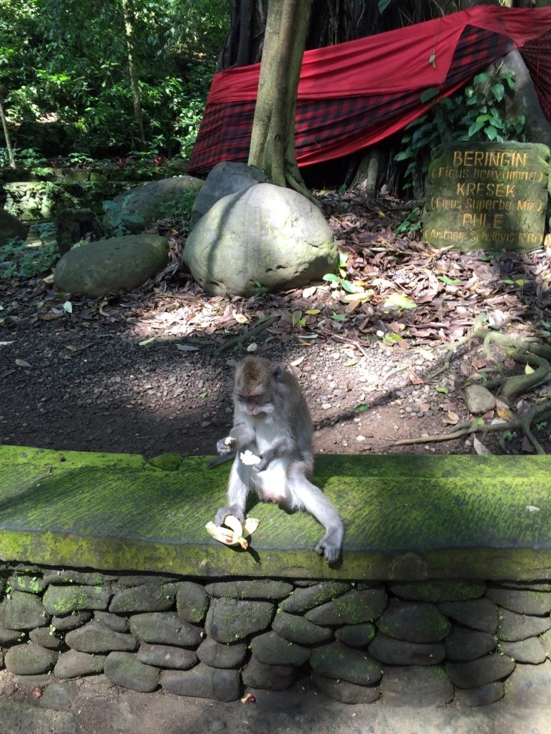 image_9312867291476019059034.jpg?type=w773