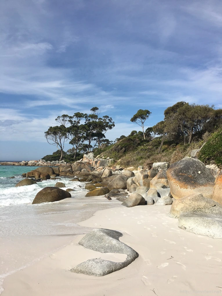 2016-11-21_at_15.00.44.jpg?type=w773