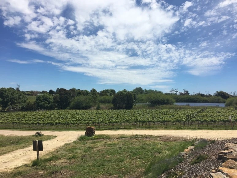 2016-11-20_at_11.24.11.jpg?type=w773