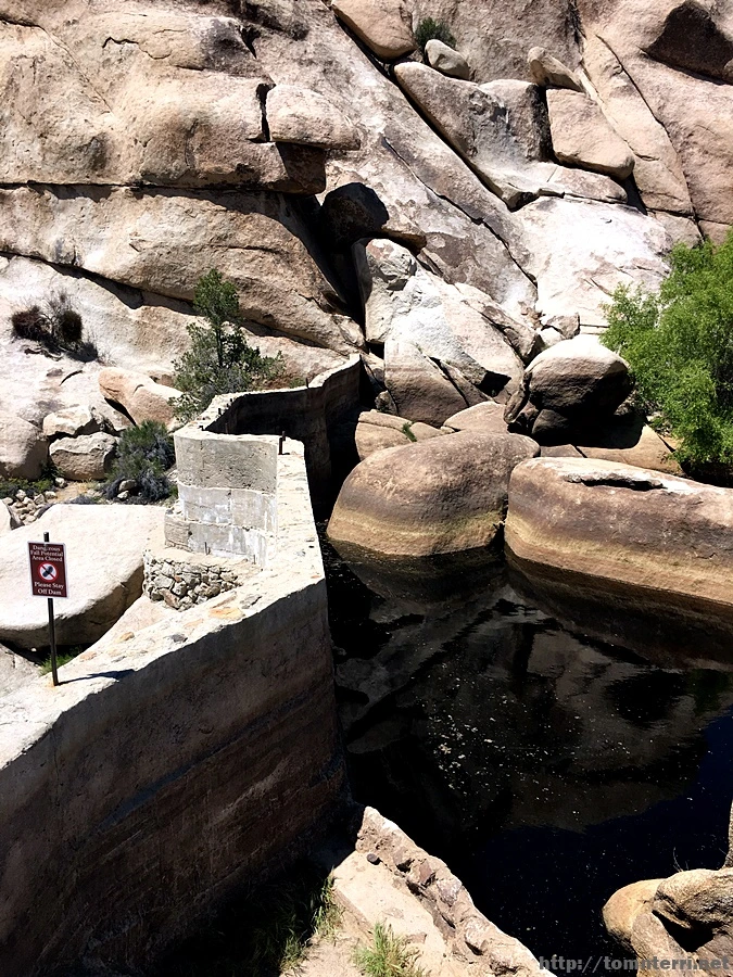 2017-05-05_at_05.57.32.jpg?type=w773