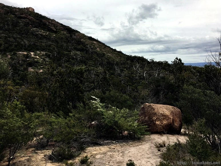 2016-11-22_at_09.59.09.jpg?type=w773