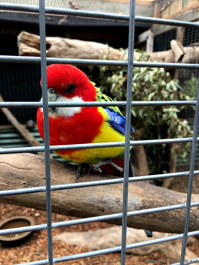 2016-11-25_at_08.21.37.jpg?type=w773