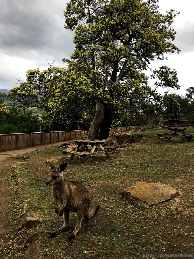 2016-11-25_at_08.46.43.jpg?type=w773