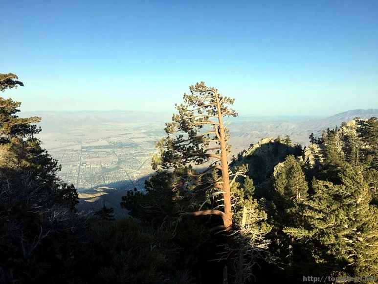 2017-05-05_at_10.28.11.jpg?type=w773