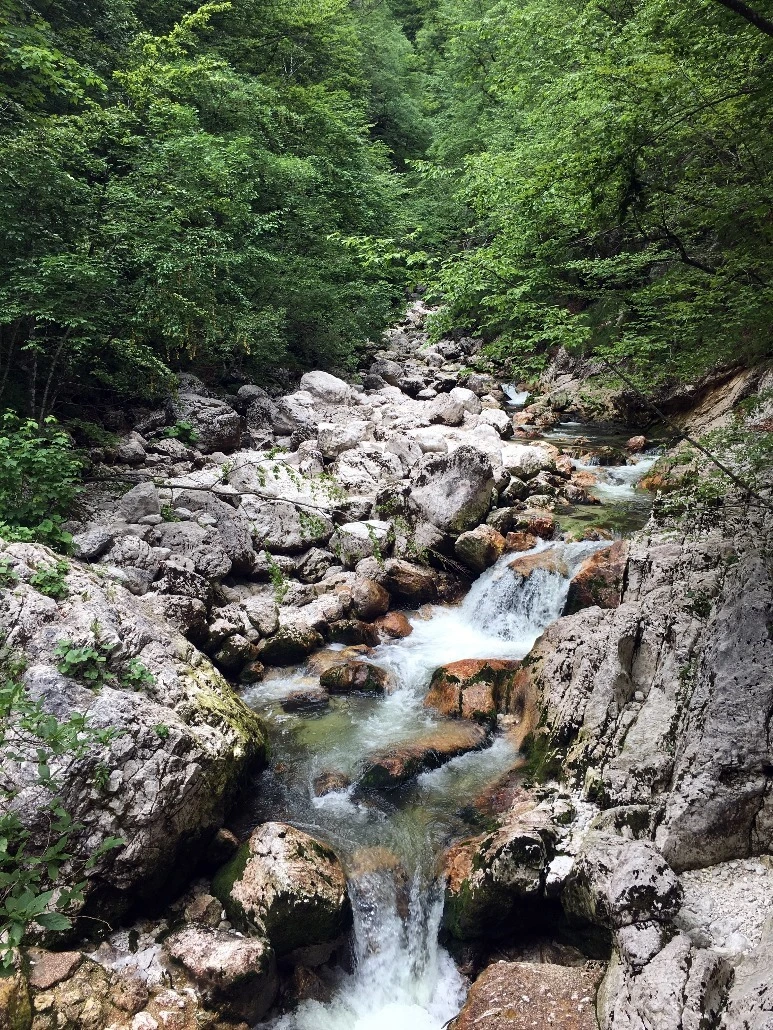 image_9849857921467475139276.jpg?type=w773