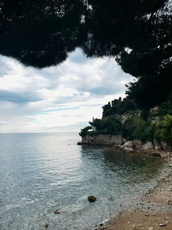 image_5604415631469337370813.jpg?type=w773