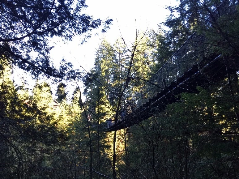 image_1089434511469348818420.jpg?type=w773