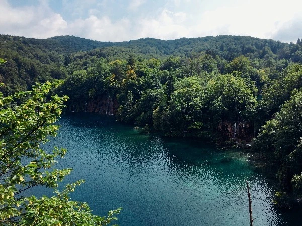 image_3625738611469328724848.jpg?type=w773