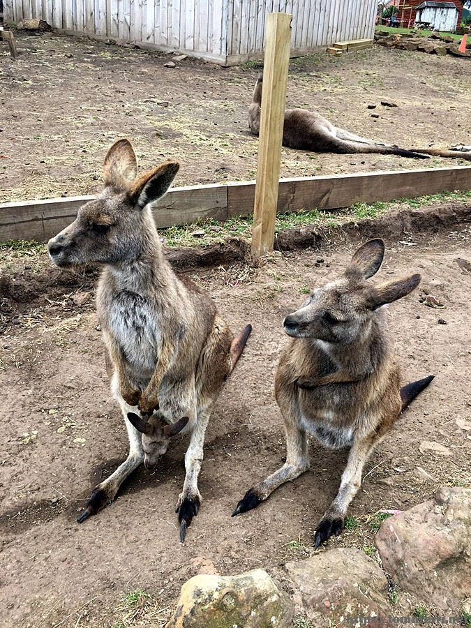 2016-11-25_at_09.06.01.jpg?type=w773