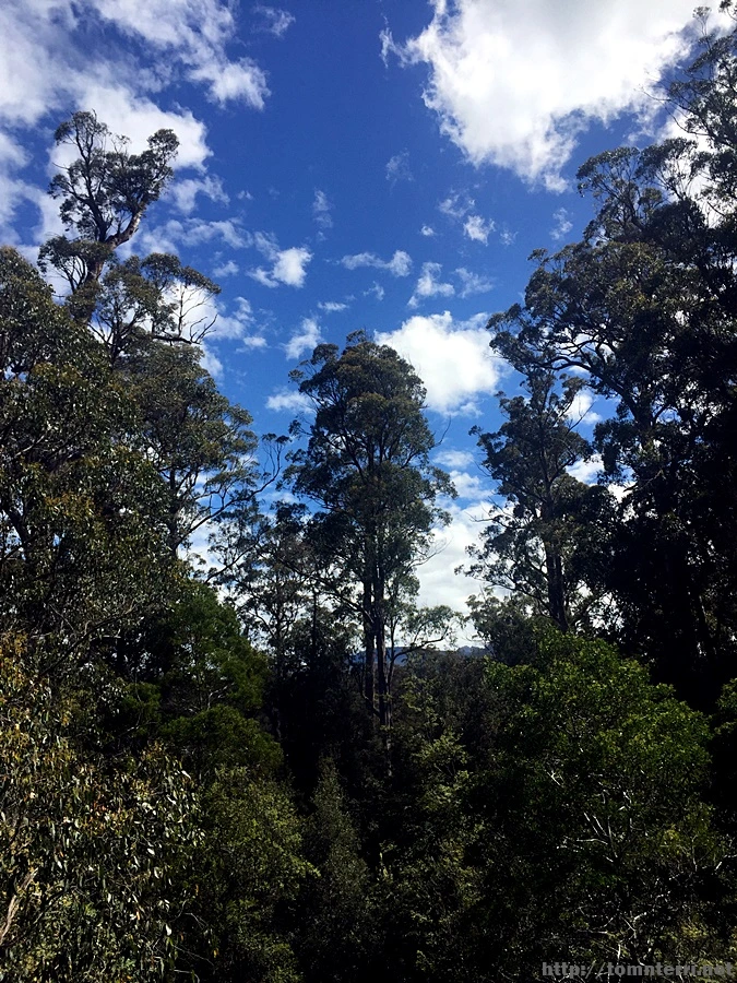 2016-11-24_at_13.07.28.jpg?type=w773