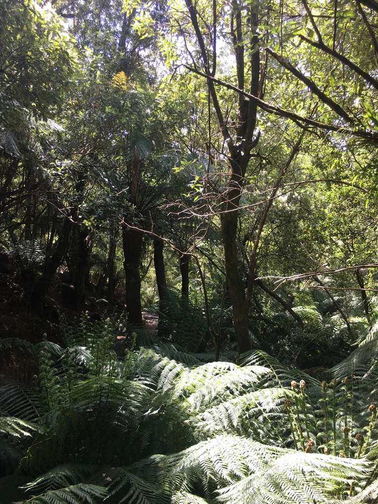 2016-11-21_at_12.40.53.jpg?type=w773