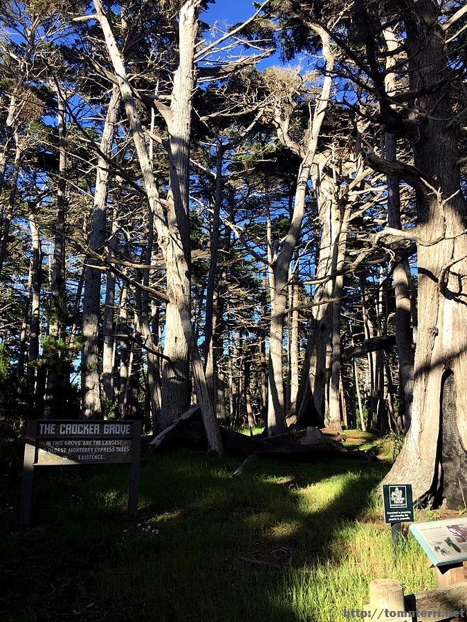 2017-05-02_at_10.07.03.jpg?type=w773