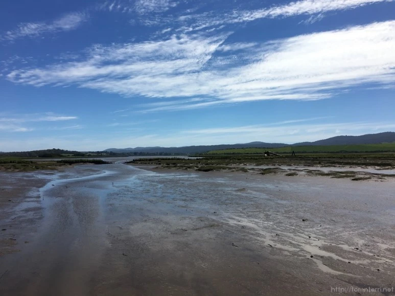 2016-11-20_at_09.34.01.jpg?type=w773