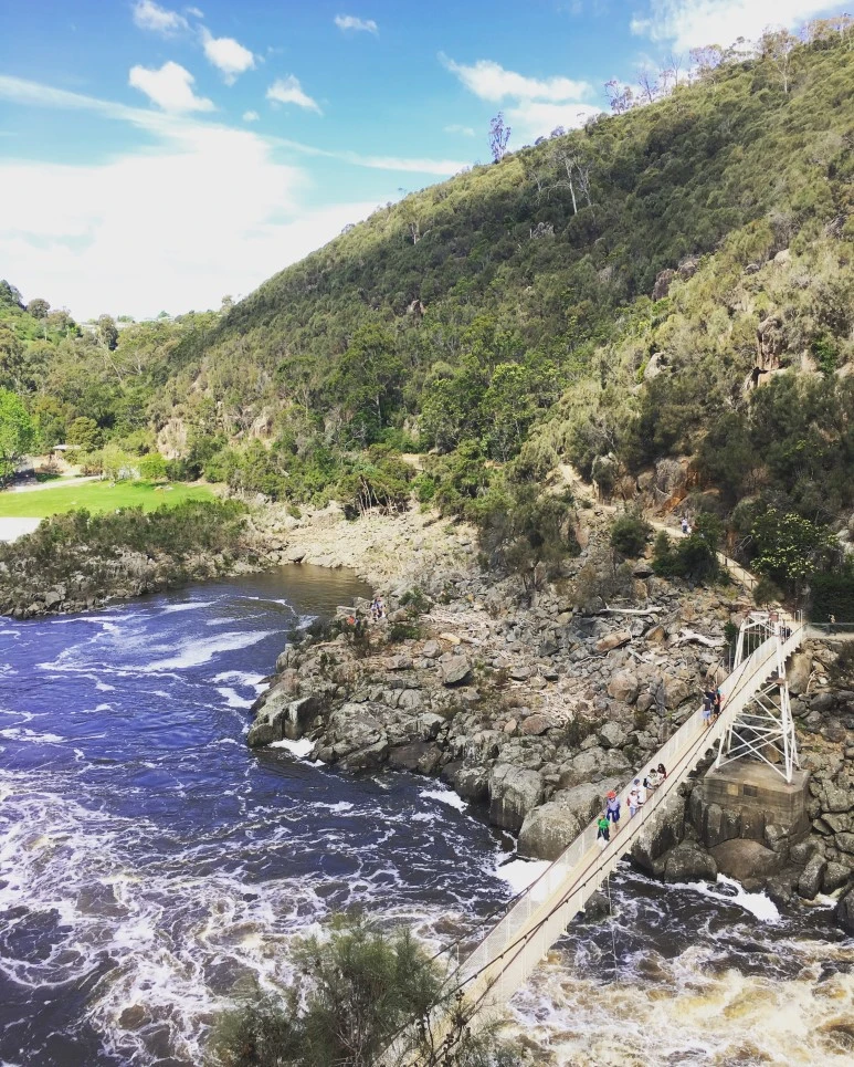 2016-11-19_at_13.31.18_2.jpg?type=w773