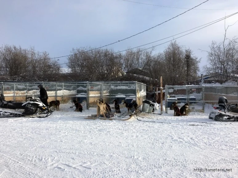 2016-02-07_at_05.25.50.jpg?type=w773