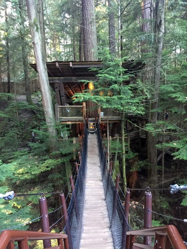 image_9244270841469349462120.jpg?type=w773