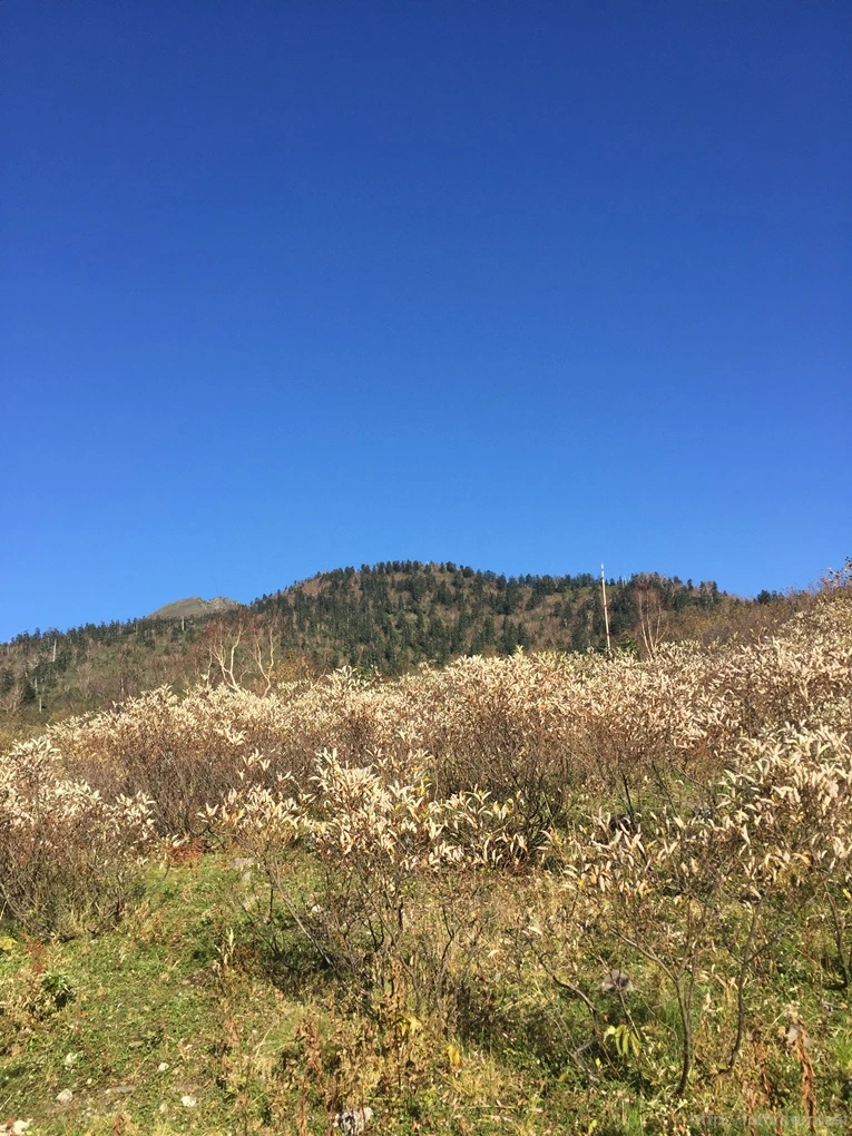 2016-10-15_at_15.03.39.jpg?type=w773