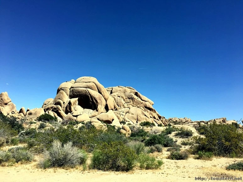 2017-05-05_at_06.50.44.jpg?type=w773