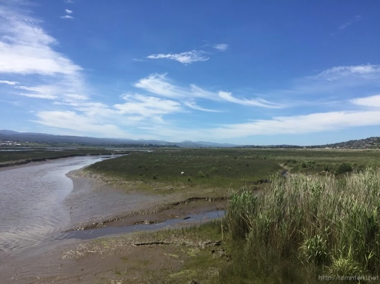 2016-11-20_at_09.20.41.jpg?type=w773