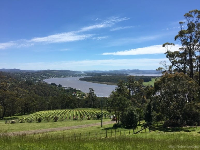 2016-11-20_at_10.35.17.jpg?type=w773