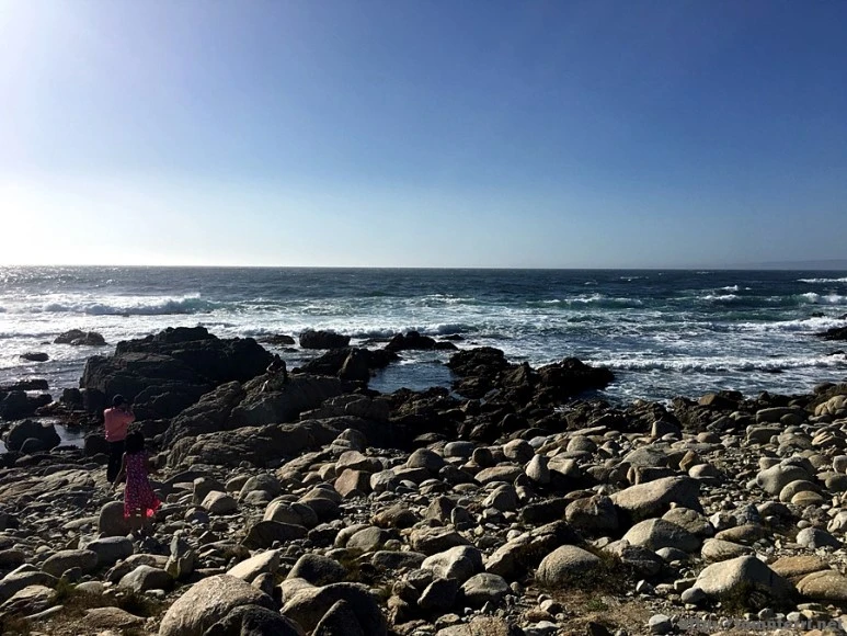 2017-05-02_at_09.37.44.jpg?type=w773