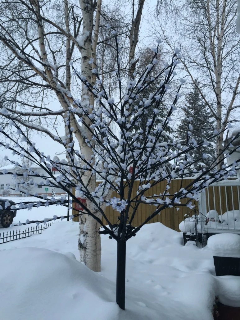 2016-02-06_at_08.26.25.jpg?type=w773