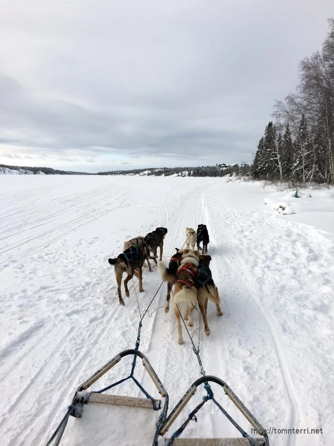 2016-02-07_at_05.45.48.jpg?type=w773