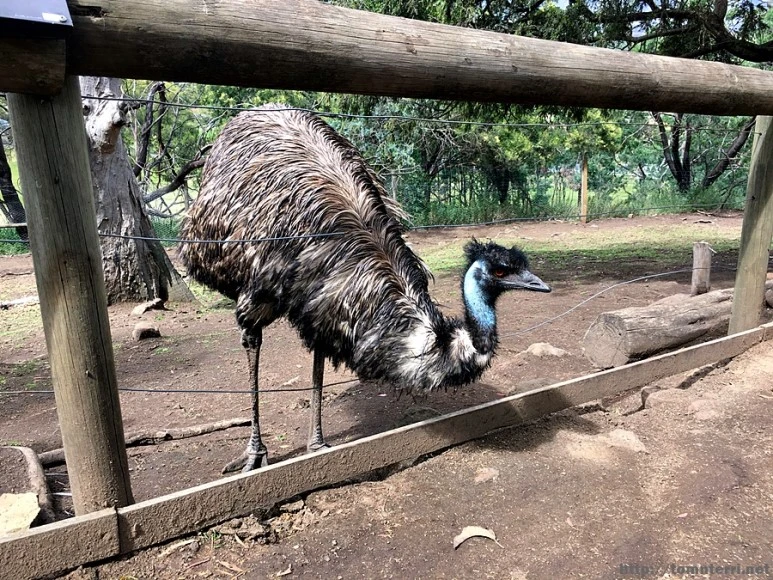 2016-11-25_at_08.33.53.jpg?type=w773