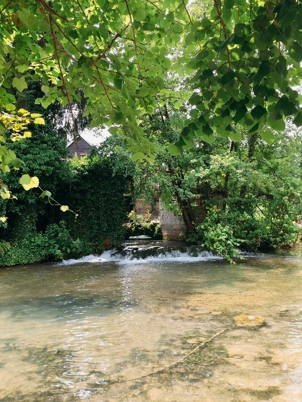 image_7924997551469326496067.jpg?type=w773