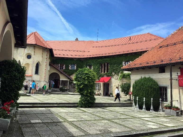 image_7509126861467473190066.jpg?type=w773