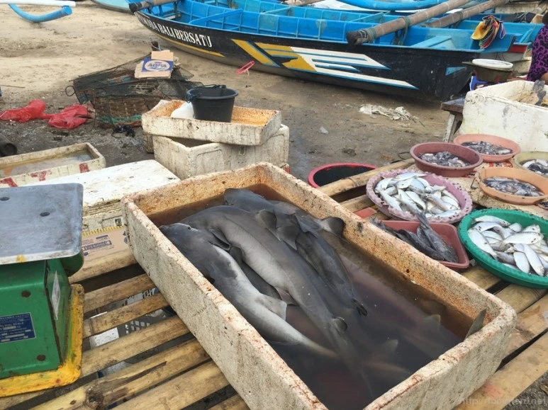 2016-09-18_at_08.58.14.jpg?type=w773