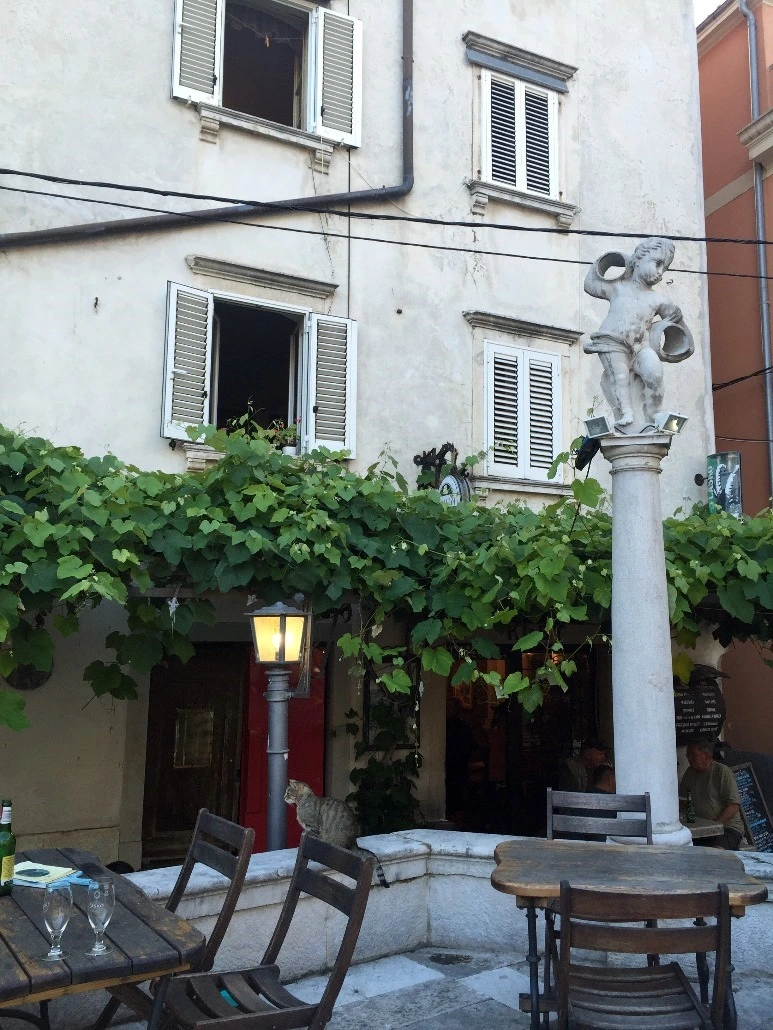 image_8879426251467468802033.jpg?type=w773