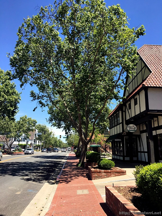 2017-05-04_at_05.36.58.jpg?type=w773