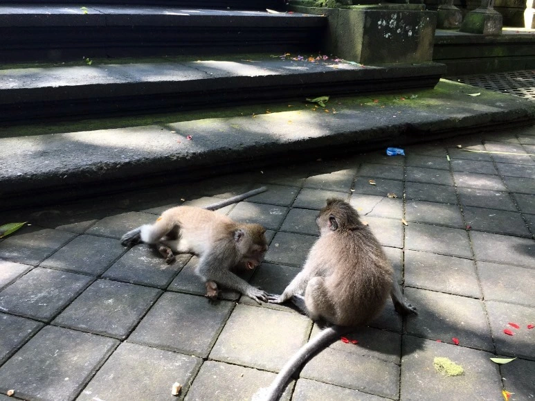 image_8174831431476019059040.jpg?type=w773