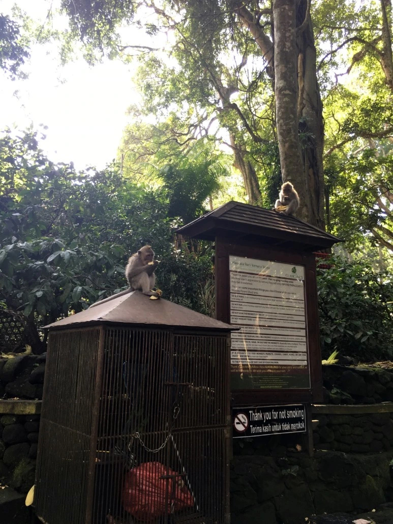 image_6301347761476019059033.jpg?type=w773