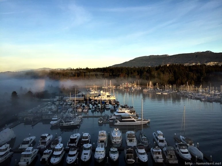 2016-02-10_at_01.00.37.jpg?type=w773