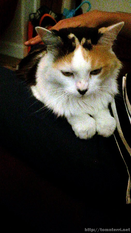 2016-11-24_at_19.31.32.jpg?type=w773